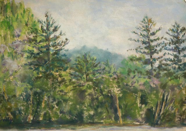 Across the Creek