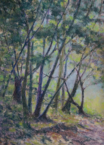 California Trail