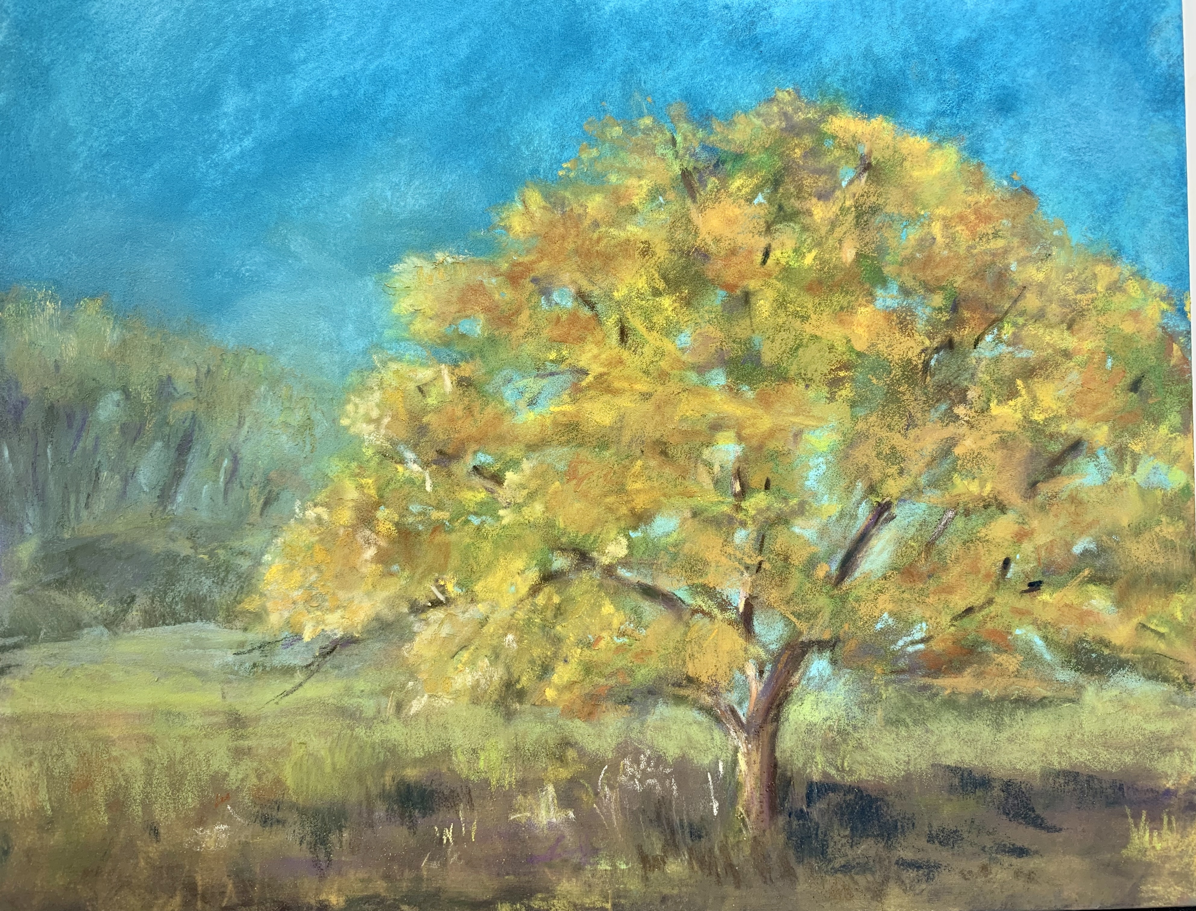 Pistache in Fall