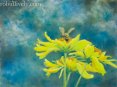 Bee Happypastel 12 x 16